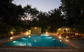 Treebo Premium Mowgli'S Den, Pench Tiger Reserve, Turia